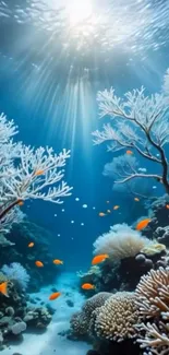 Sunlit coral reef teeming with fish.