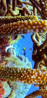 Colorful coral reef with diverse marine life in a vivid underwater scene.