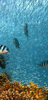 Underwater scene with coral reef and vibrant fish swimming in the ocean.