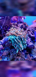 Vibrant coral reef with colorful marine life and blue water background.