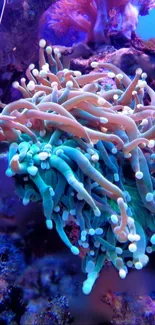 Vibrant coral reef showcasing marine life and ocean beauty.