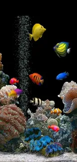 Colorful fish swim in a vibrant coral reef on a black background.