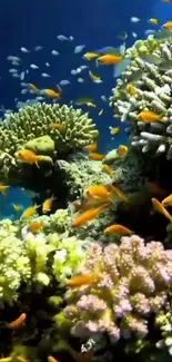 Colorful coral reef with vibrant fish swimming in a lively underwater scene.