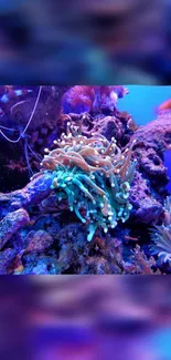 Colorful coral reef with vivid marine life and blue, purple hues.