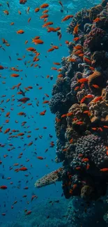 Colorful coral reef with tropical fish underwater.