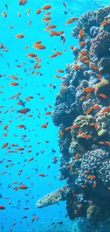 Vibrant underwater coral reef with colorful fish