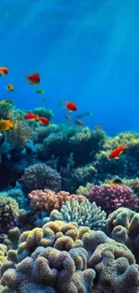 Colorful coral reef and fish in deep blue ocean wallpaper.