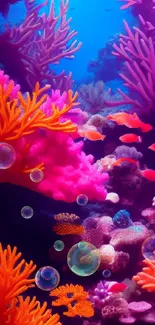 Colorful coral reef with fish, pink and orange corals.