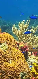 Colorful coral reef with marine life and vibrant fish in ocean scenery.