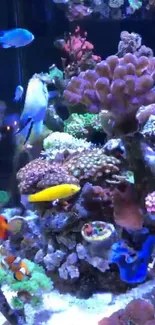 Colorful coral reef with vibrant fish.