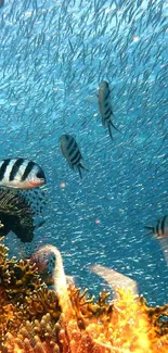 Colorful fish swimming through a coral reef underwater scene.