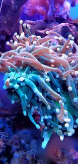 Colorful coral reef with vibrant blue and green tentacles.