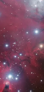 Vibrant red nebula with glowing stars in deep space wallpaper.