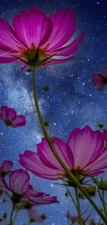 Pink cosmos flowers under a starry night sky, creating a serene and magical scene.