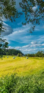 Serene rural landscape with blue sky and green fields, ideal for a mobile wallpaper.