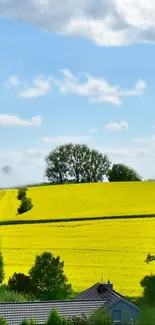 Beautiful countryside with a vibrant yellow field and blue sky.