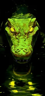 Vibrant green crocodile facing forward in dark setting.