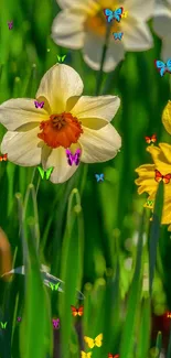 Vibrant daffodils with lush green leaves in bright sunlight.