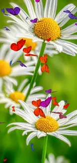 Colorful daisies with butterflies mobile wallpaper.