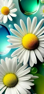 Vibrant daisies on a blue and green background with water droplets.