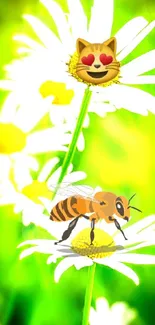 Cat emoji and bee on daisies with green background.