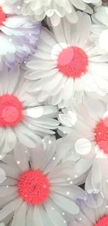 Vibrant daisies with pink centers creating a lively floral phone wallpaper.