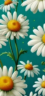Cheerful daisy pattern on a turquoise background.