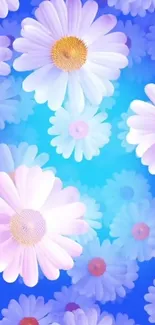 Vibrant daisy wallpaper with blue background.