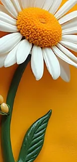Vibrant daisy flower on orange background wallpaper.