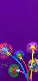 Colorful dandelions on a purple background mobile wallpaper.