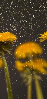 Golden dandelions with shimmering particles on a dark background.