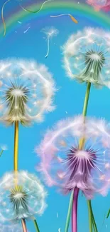 Colorful dandelions with rainbow on blue sky.