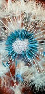 Macro view of a dandelion with blue highlights.