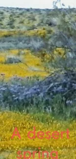 Desert landscape with vibrant yellow flowers in spring.