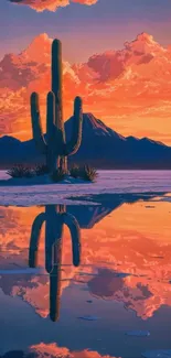 Cactus reflection at sunset creating vibrant colors on a desert landscape.