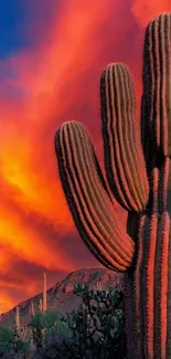 Desert sunset with cacti and vibrant orange sky.