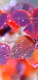 Dew-kissed red and purple leaves wallpaper with vibrant colors.