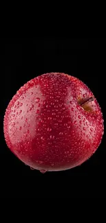 Dewy red apple on black background wallpaper.