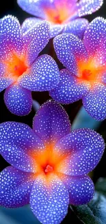Vibrant purple flowers with dewdrops.