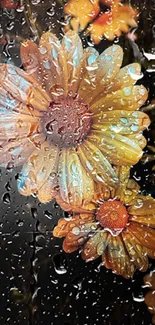 Orange flowers with dew drops on petals.