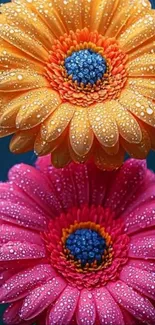 Close-up of vibrant dewy flowers in orange and pink.