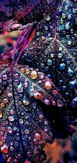 Vibrantly colored dewy leaves with intricate water droplets.