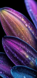 Dewy vibrant petals with gradient colors for mobile wallpaper.