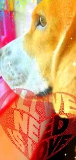 Colorful dog wallpaper with heart and text 'All We Need is Love'.