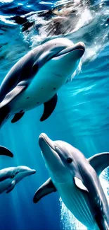 Vibrant dolphins swimming in clear blue water