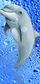 Dolphin art wallpaper with blue water droplet background.