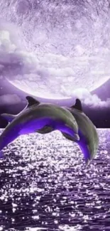 Dolphins leaping under a full moon over violet ocean waves.