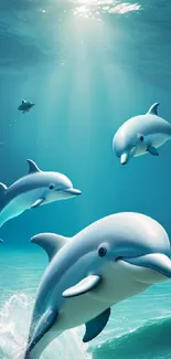 Playful dolphins swim in clear blue ocean.