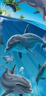 Vibrant wallpaper with dolphins in a tropical ocean scene.