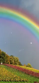 Double rainbow over lush green fields, vibrant nature wallpaper.